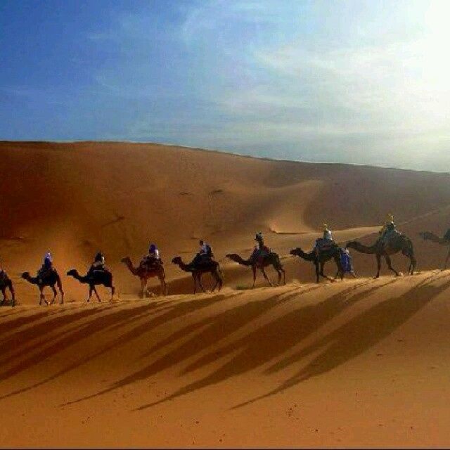 Tunísia -djerba - 1
