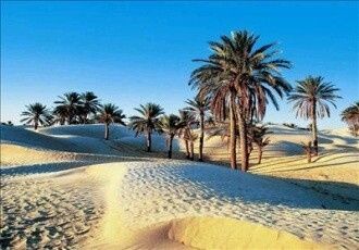 Tunísia -djerba - 5