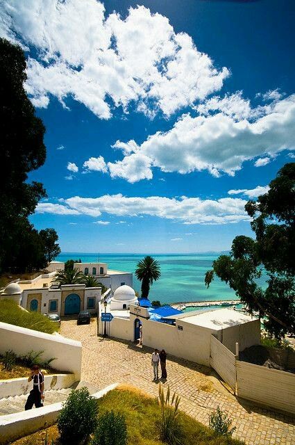 Tunísia -djerba - 8