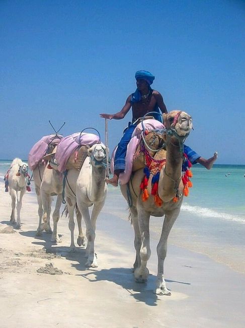 Tunísia -djerba - 16