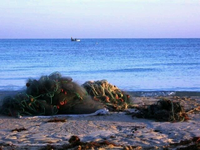 Tunísia -djerba - 18