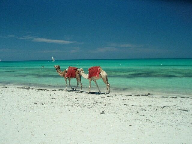 Tunísia -djerba - 19