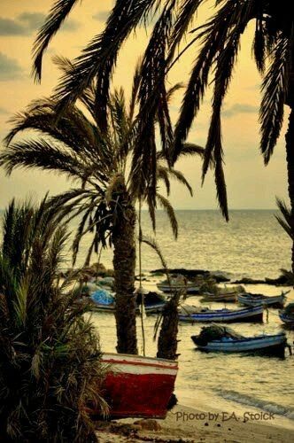 Tunísia -djerba - 20