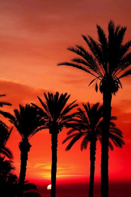 Tunísia -djerba - 25