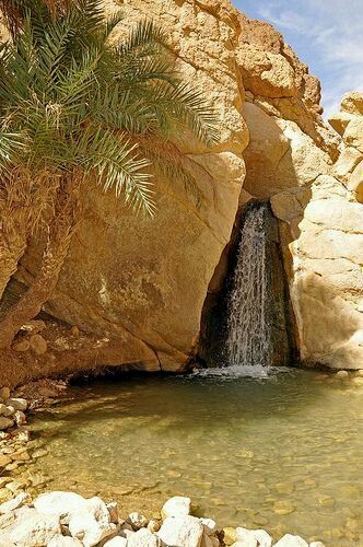 Tunísia -djerba - 30