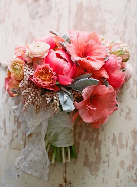 Flor Coral