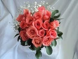 Flor Coral