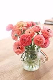 Flor Coral