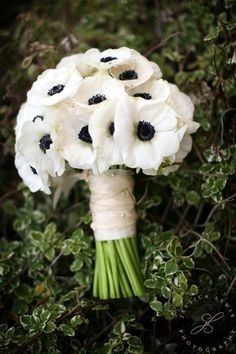 Bouquet_01