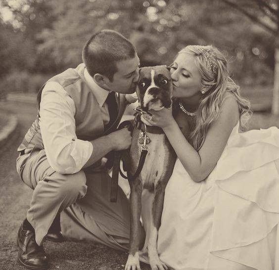 Animais_19