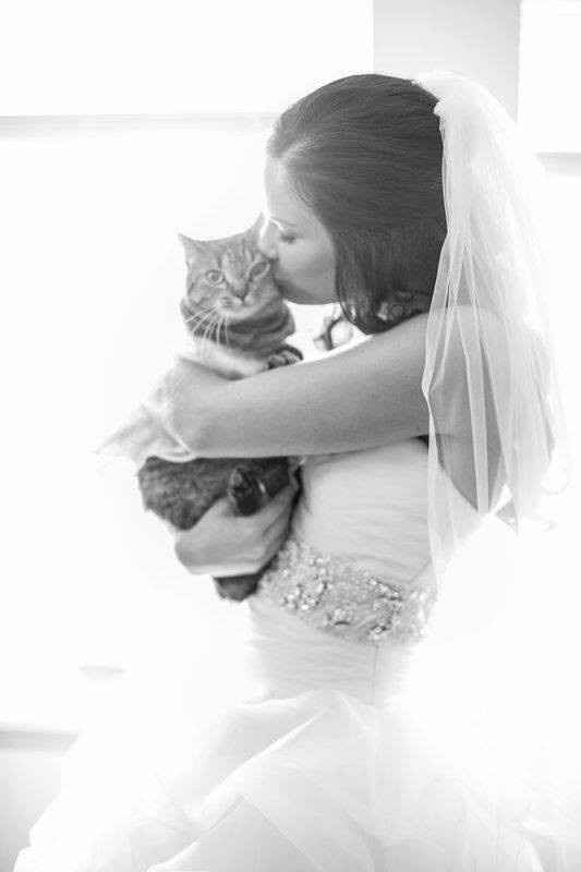 Animais_04