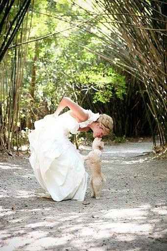 Animais_25