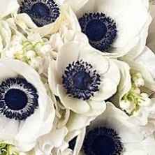 Bouquet_10