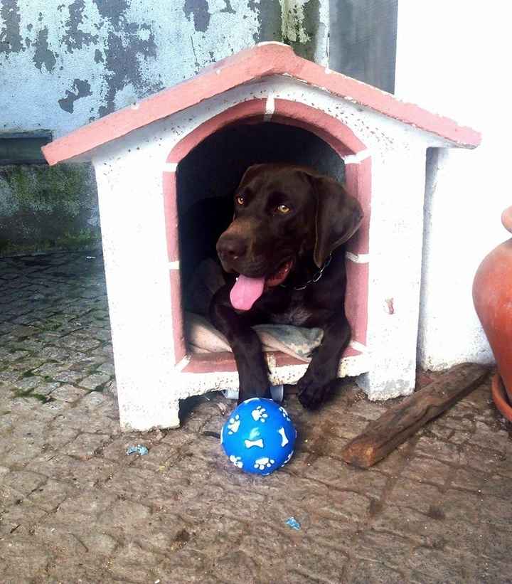 Duque