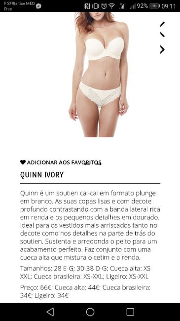 Lingerie e afins - 1