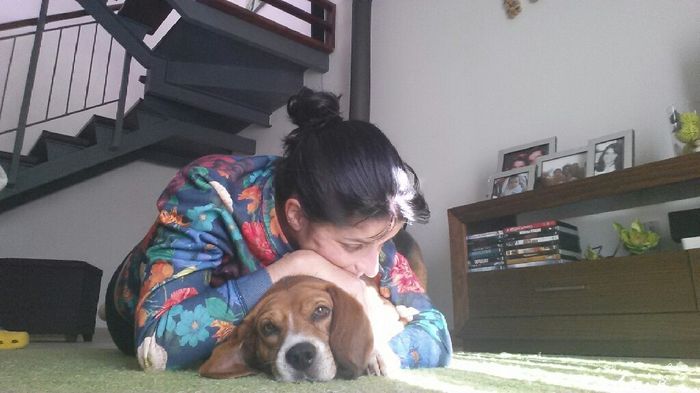 Bom fim-de-semana com pet - 1