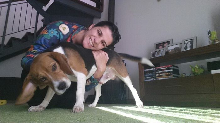 Bom fim-de-semana com pet - 2