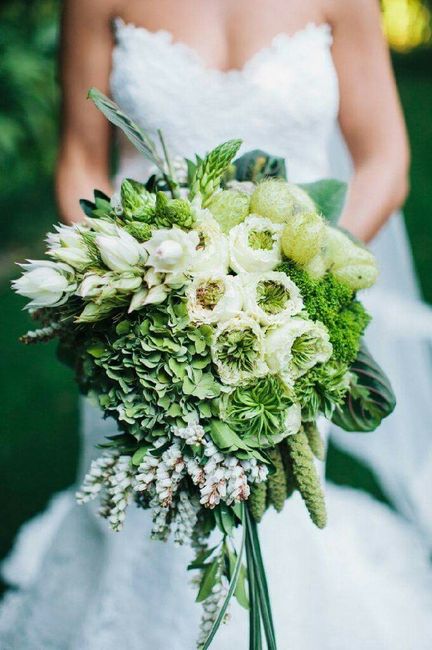 Dizem que o amor é verde... - 5