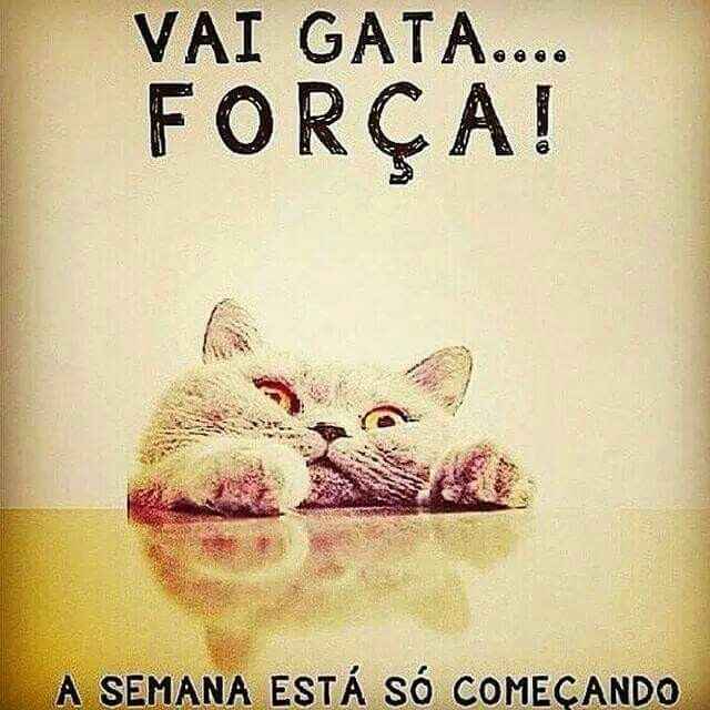 Segunda para umas sexta para outras - 1