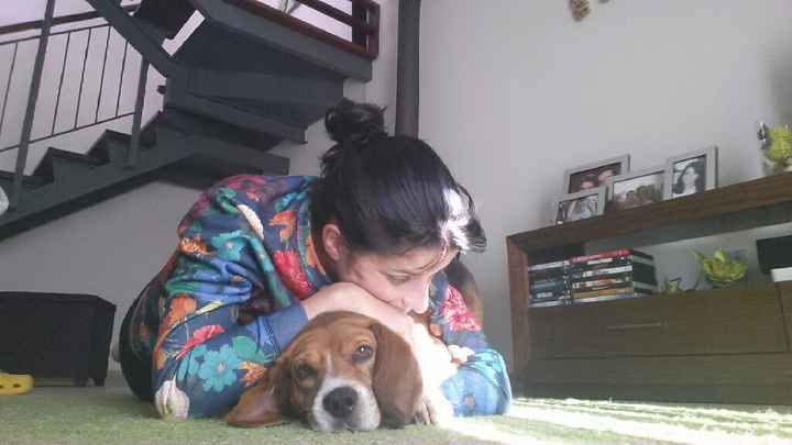 Bom fim-de-semana com pet - 1