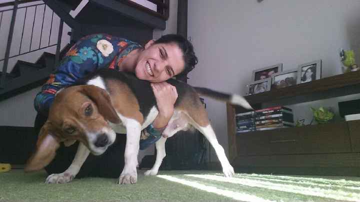 Bom fim-de-semana com pet - 2