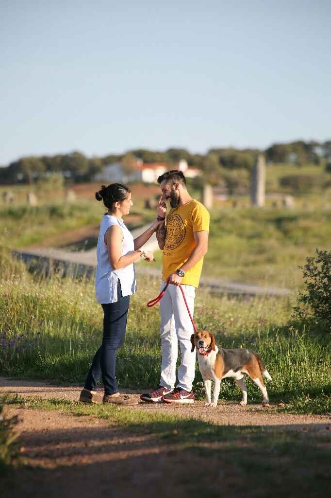 Sessão de solteiros - 6