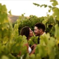 Quinta das Cerdeirinhas, a vinha.