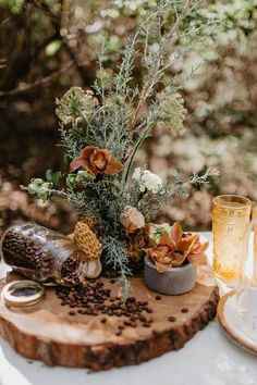Decoração/centros de mesa de Outono 🍁 - 6