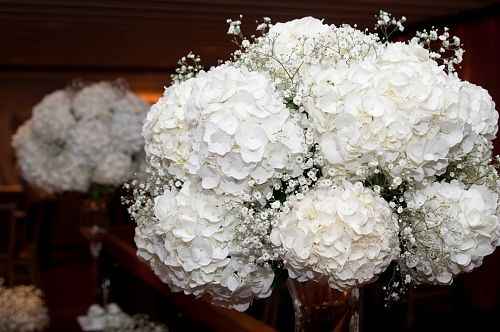 Flores - 2