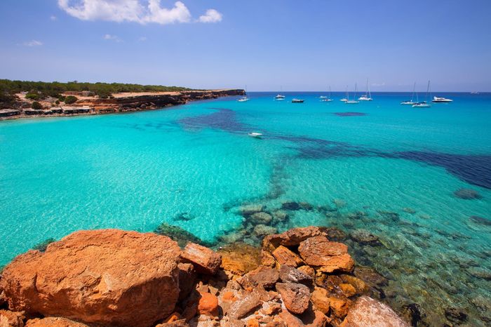 Conheces bem o teu amor? O teu amor prefere praia ou campo? - 1