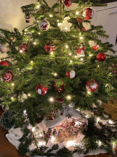 Que dia montam a árvore de natal? 🎁 - 1