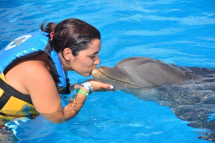 THE EXPERIENCE OF A LIFETIME! DOLPHINS EMOTIONS... uma experiência inesquecível, uns animais muito d