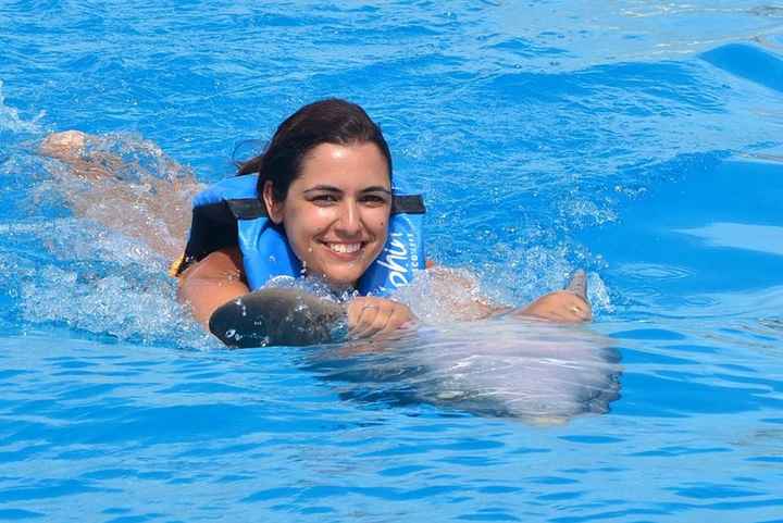 THE EXPERIENCE OF A LIFETIME! DOLPHINS EMOTIONS... uma experiência inesquecível, uns animais muito d