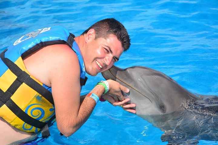 THE EXPERIENCE OF A LIFETIME! DOLPHINS EMOTIONS... uma experiência inesquecível, uns animais muito d