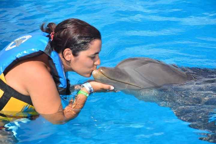 THE EXPERIENCE OF A LIFETIME! DOLPHINS EMOTIONS... uma experiência inesquecível, uns animais muito d