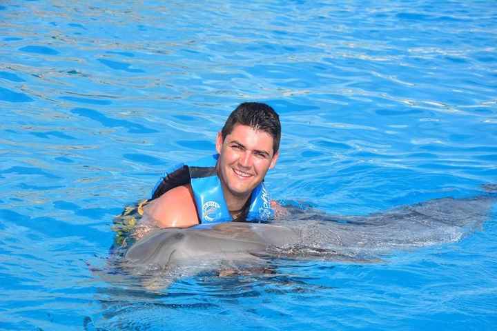 THE EXPERIENCE OF A LIFETIME! DOLPHINS EMOTIONS... uma experiência inesquecível, uns animais muito d