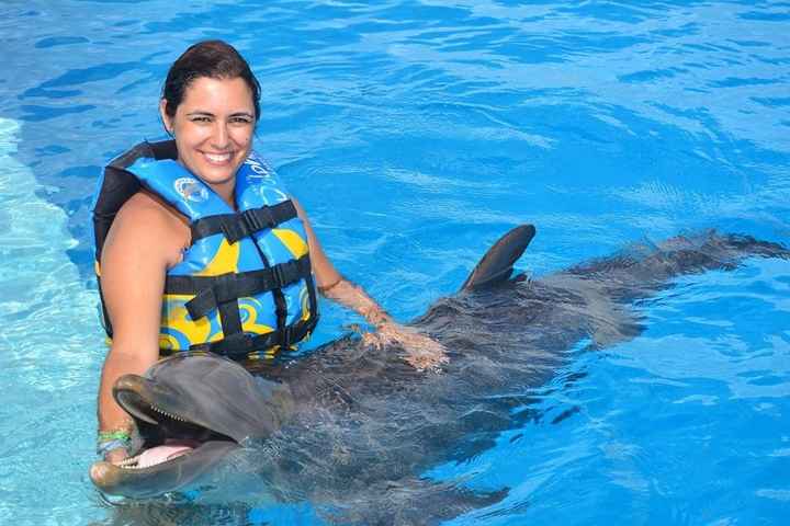 THE EXPERIENCE OF A LIFETIME! DOLPHINS EMOTIONS... uma experiência inesquecível, uns animais muito d