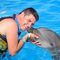 THE EXPERIENCE OF A LIFETIME! DOLPHINS EMOTIONS... uma experiência inesquecível, uns animais muito d