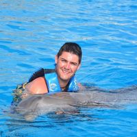 THE EXPERIENCE OF A LIFETIME! DOLPHINS EMOTIONS... uma experiência inesquecível, uns animais muito d