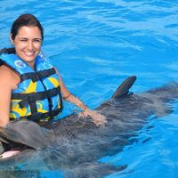 THE EXPERIENCE OF A LIFETIME! DOLPHINS EMOTIONS... uma experiência inesquecível, uns animais muito d