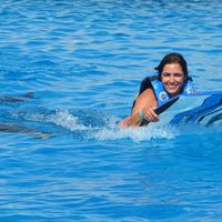 THE EXPERIENCE OF A LIFETIME! DOLPHINS EMOTIONS... uma experiência inesquecível, uns animais muito d