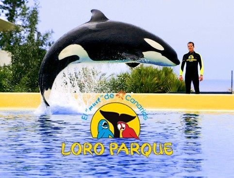 loro parque