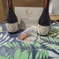 Ajuda para convites madrinha e damas - 1