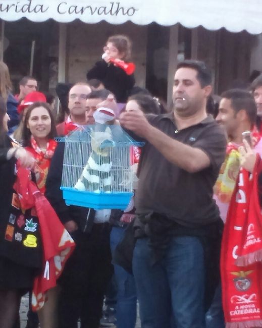 Benfica da-me o 35 - 1