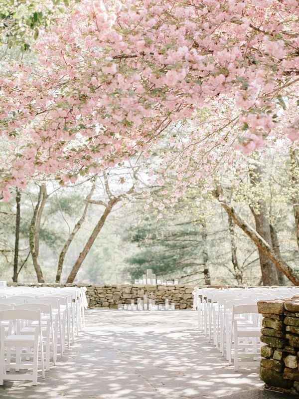Cherry Blossom Wedding Inspiration