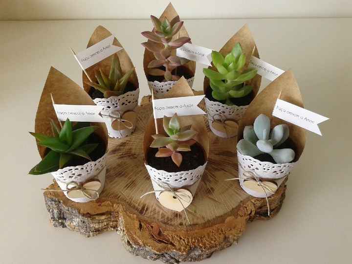 Lembranças para as senhoras: suculentas - 3