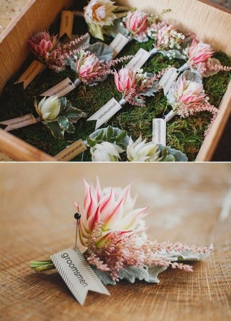 protea