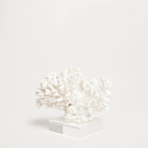 Coral