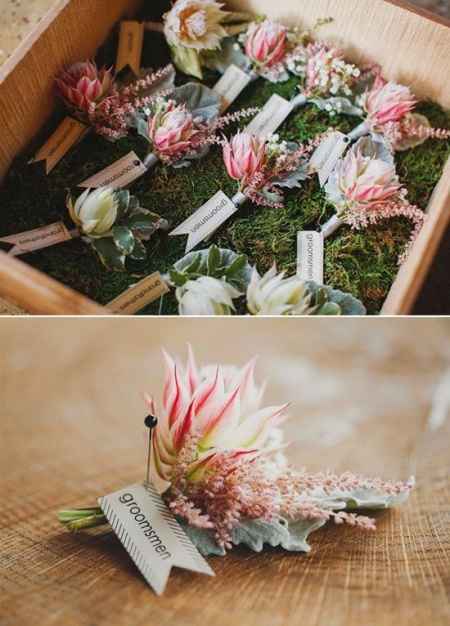 protea