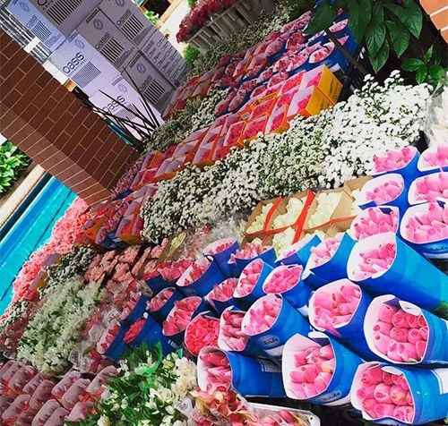 Flores